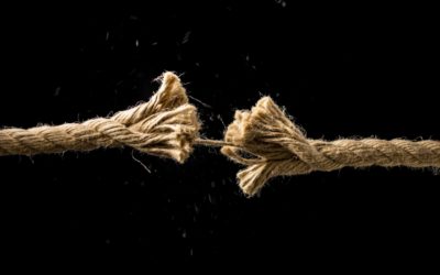The Why, How, Who and When for Dealing with Business Risk